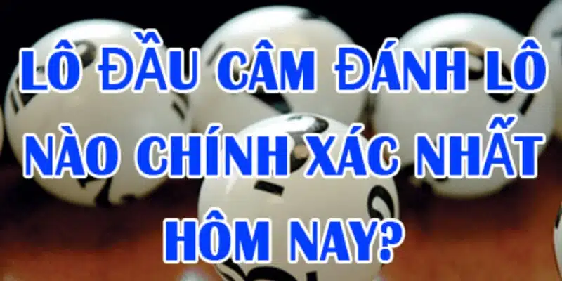 Hướng dẫn cách dự đoán lô câm đầu sẽ về như nào